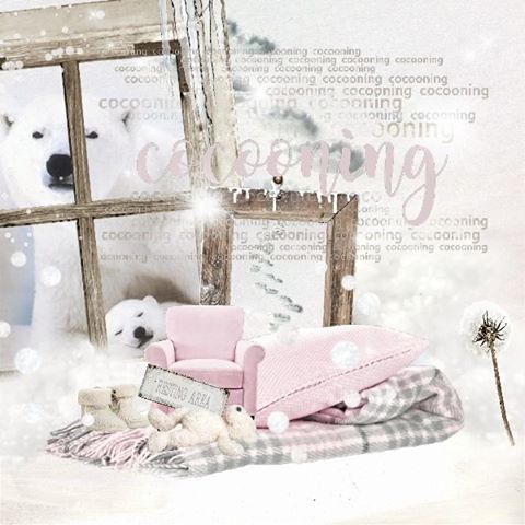 Inspiration 6 