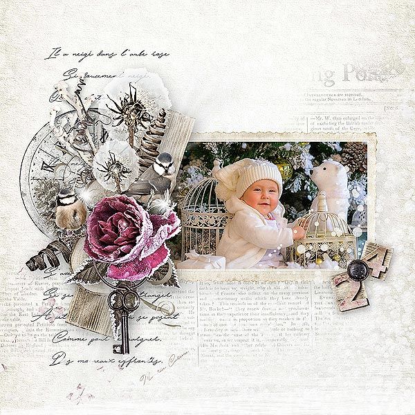 Inspiration 15 