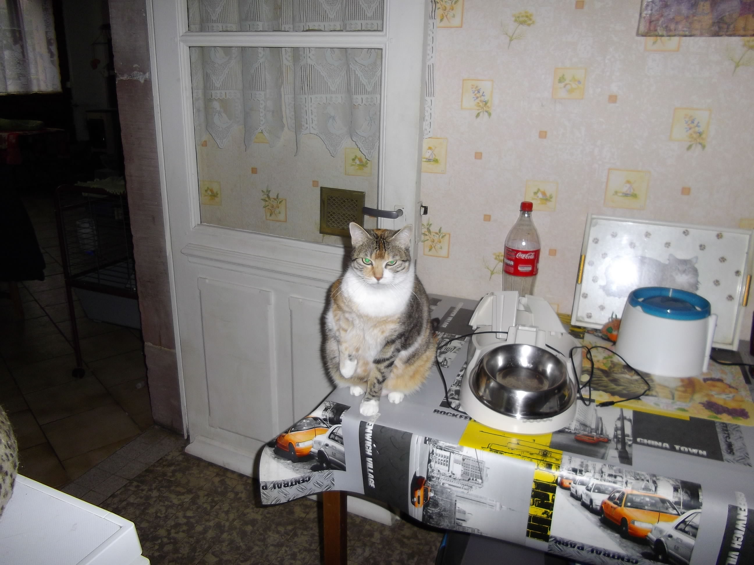 Imgp0804