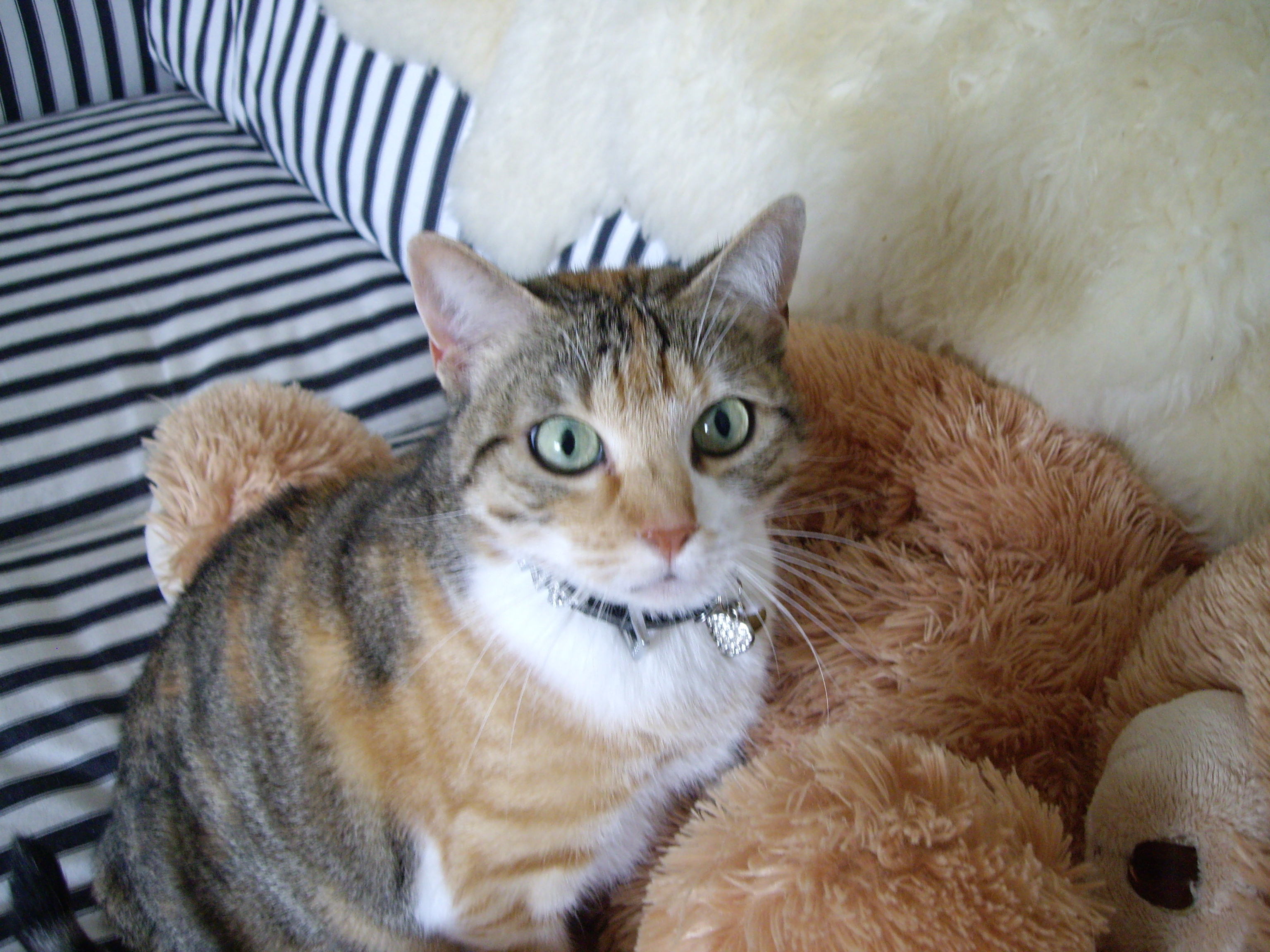 Imgp0994