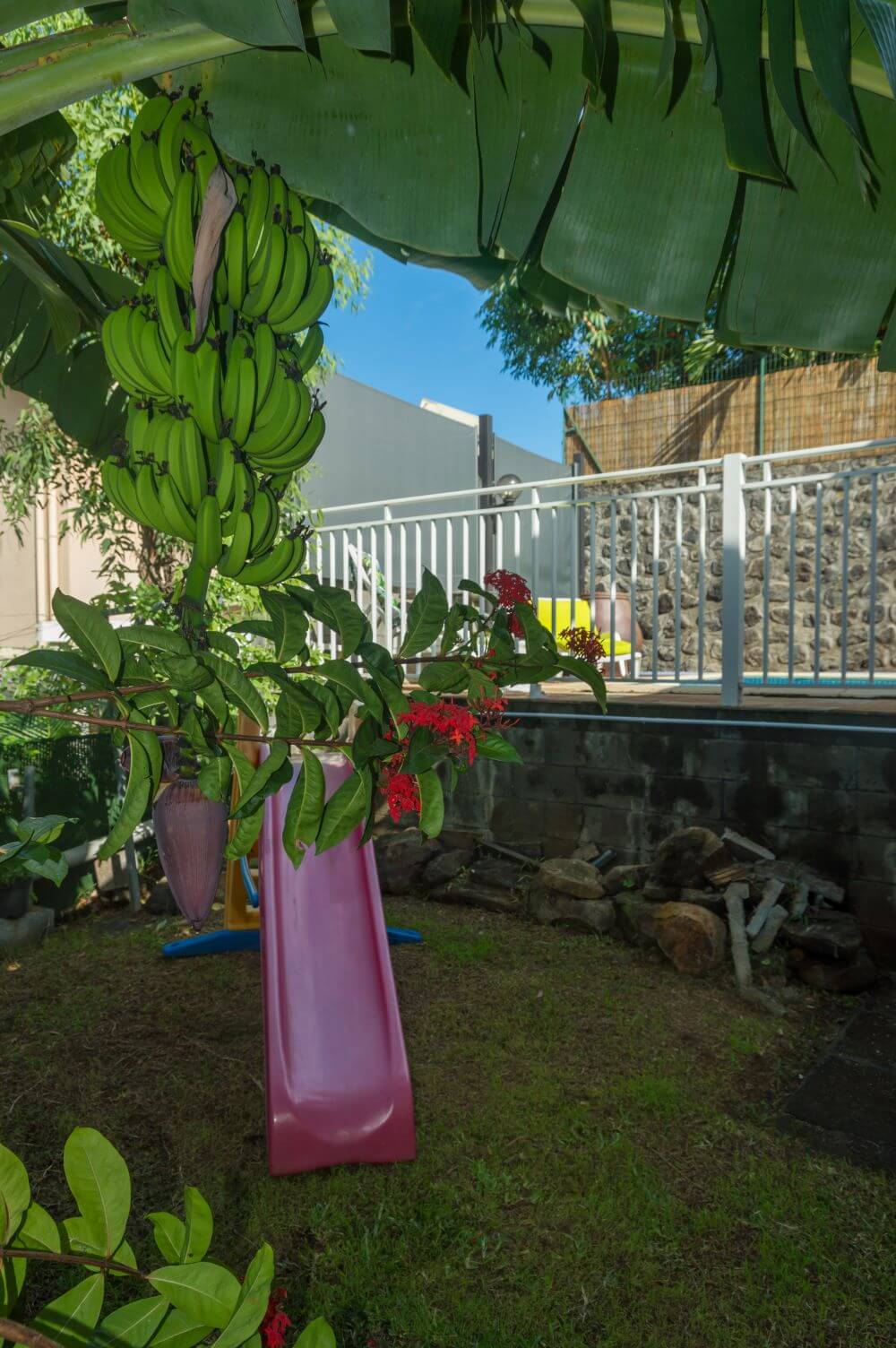 Jardin fruitee gite zot case en dur
